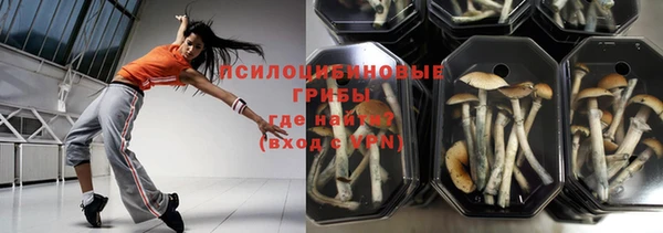 spice Абинск