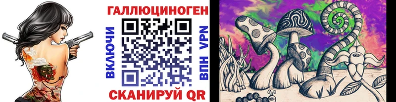 Псилоцибиновые грибы Psilocybine cubensis  Новосибирск 